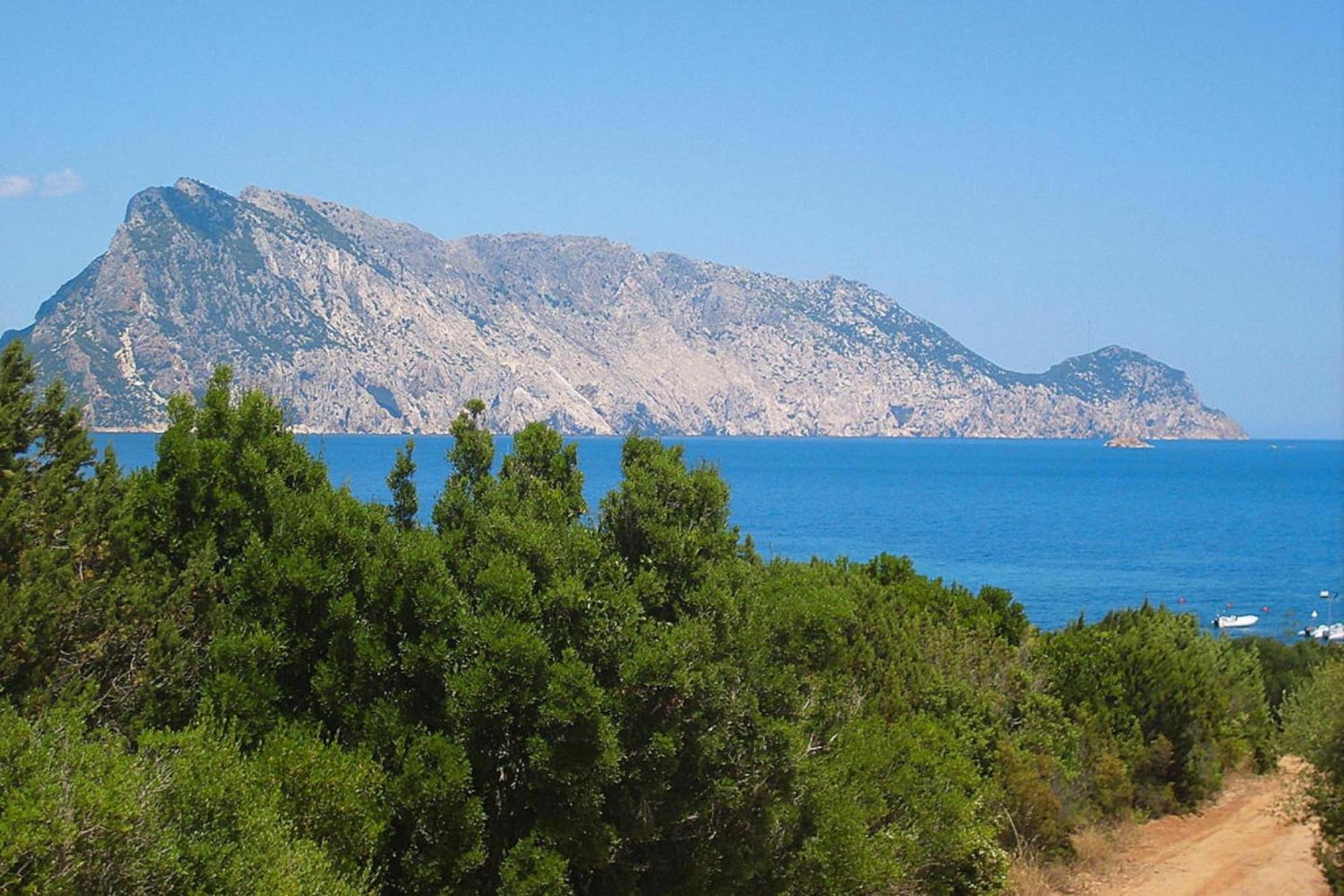 Residence La Tartaruga Monte Petruso San Teodoro San Teodoro  Eksteriør billede